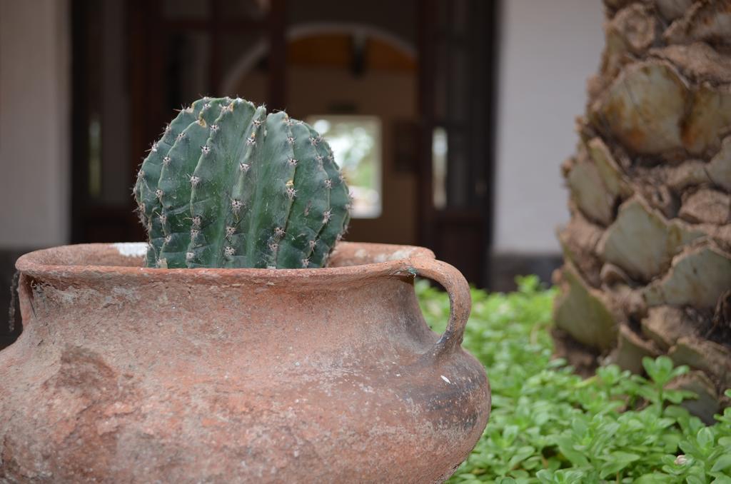 Finca El Carmen Guest House Angastaco Exterior foto