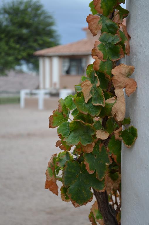 Finca El Carmen Guest House Angastaco Exterior foto